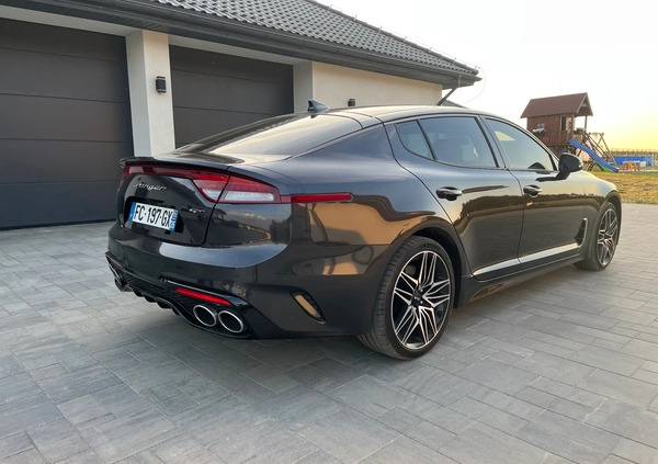 Kia Stinger cena 157000 przebieg: 6200, rok produkcji 2022 z Turek małe 667